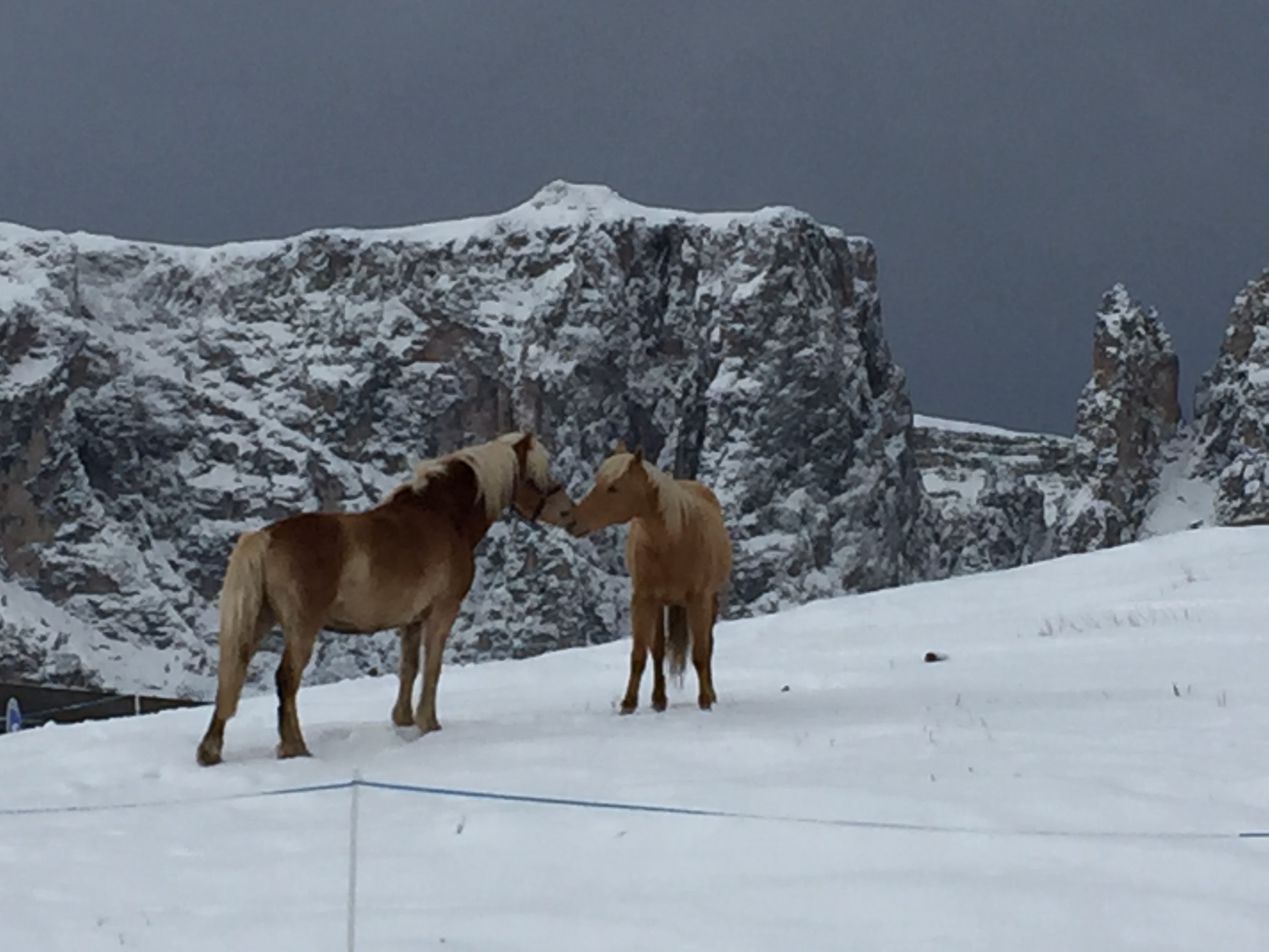 Alpe di Siusi, 2015